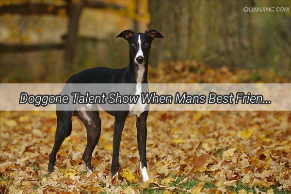 Doggone Talent Show When Mans Best Friend Mimics Masters Voice